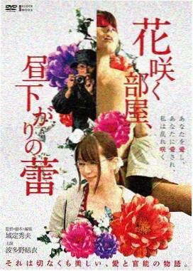 喜爱夜蒲3 海报 免费观看